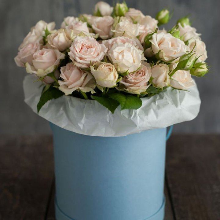 Бокс с бомбастиком в Саранске