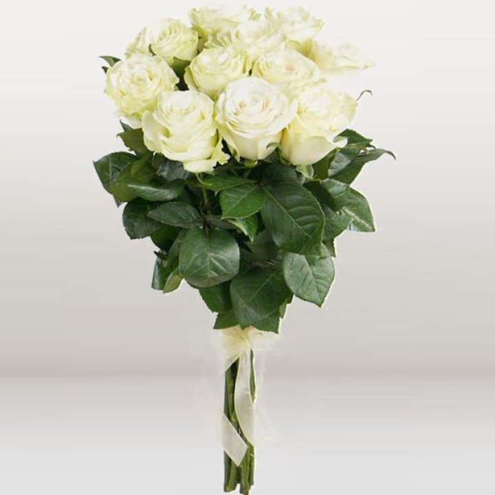 11 белых голландских роз в Саранске