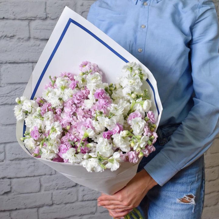 Маттиола в Саранске