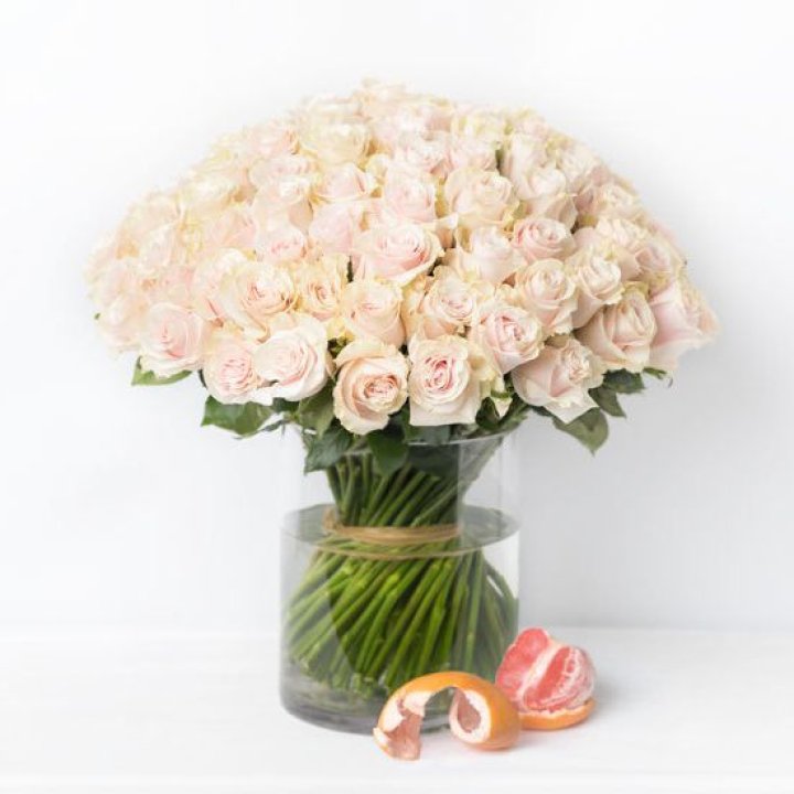 101 кремовая роза в Саранске