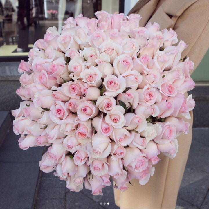 Розы "Пинк бум" в Саранске