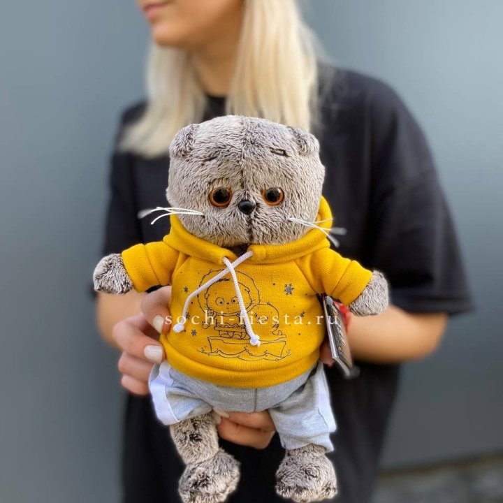 Кот Басик в худи в Саранске