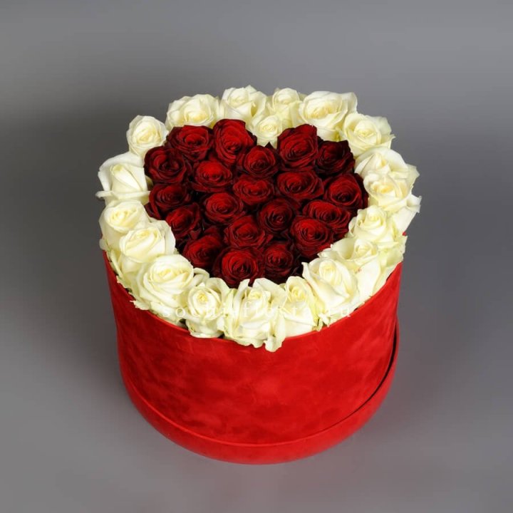 39 красных и белых роз в цилиндре в Саранске