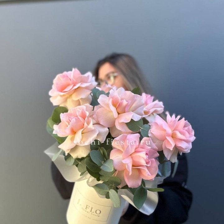 Французские роз в боксе в Саранске