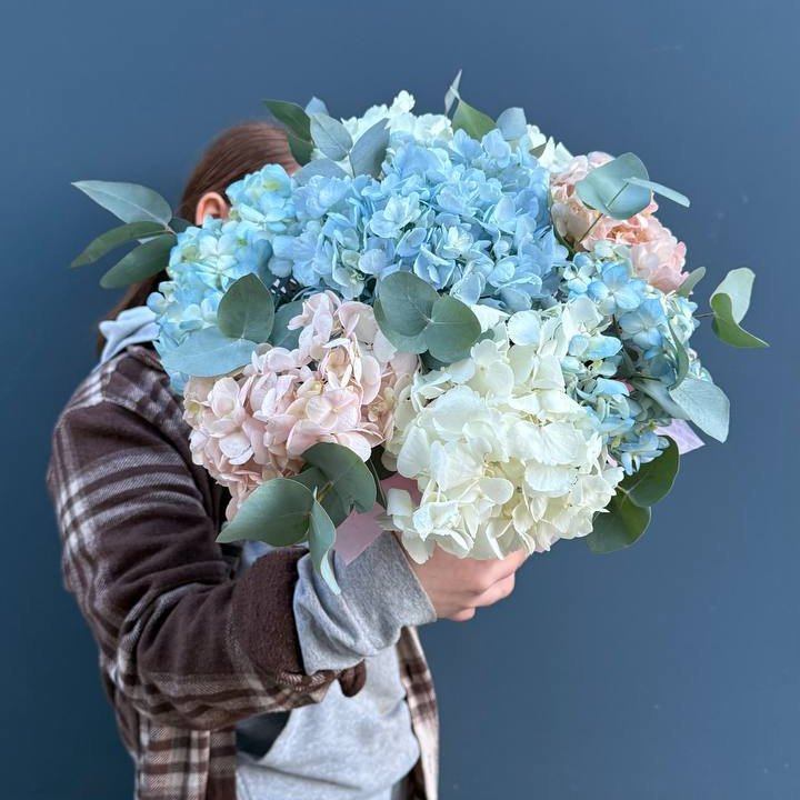 Гортензии в коробочке в Саранске