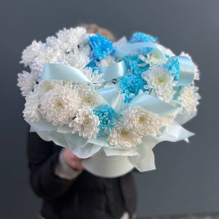 Хризнтемы в боксе в Саранске