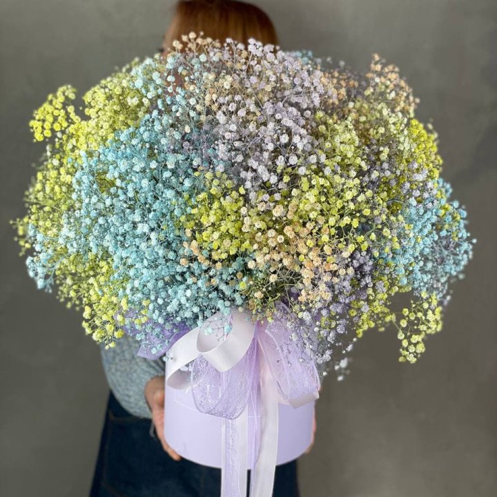 Бокс из гипсафил в Саранске