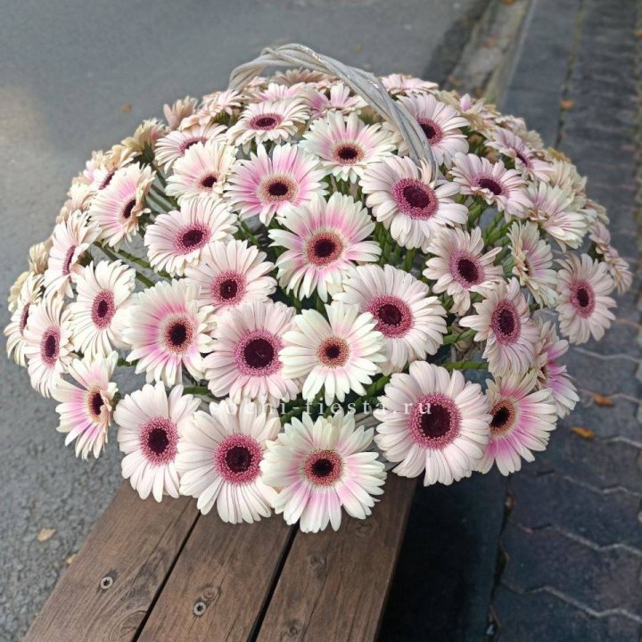 Корзина с герберами  в Саранске