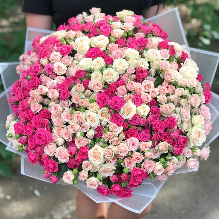 101 кустовая роза в Саранске