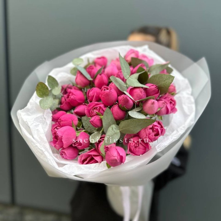 17 Мисти бабблс в Саранске