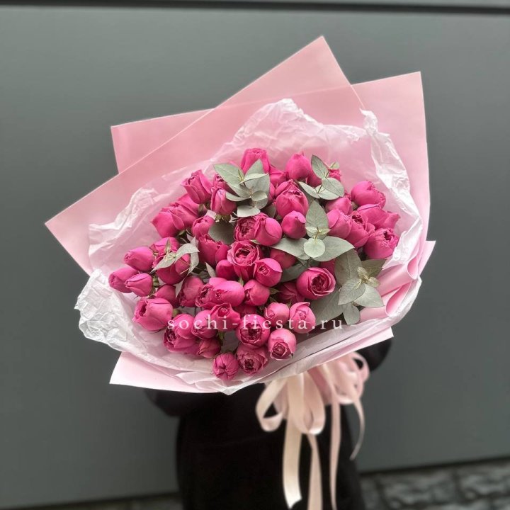 25 Мисти бабблс в Саранске