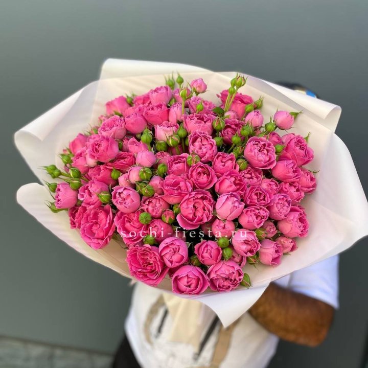 Мисти Баблс 35шт в Саранске