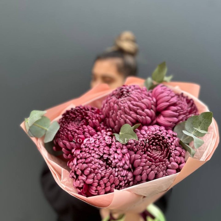 Хризантемы  Бигуди  в Саранске