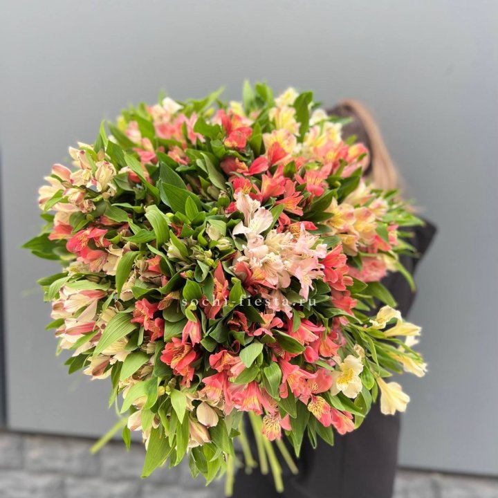 51 альстромерия в Саранске