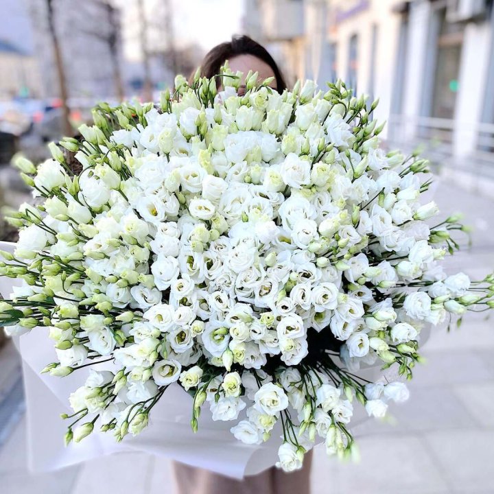 101 белая эустома в Саранске