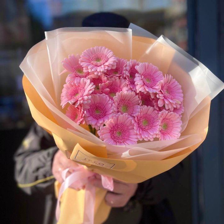 17 розовых гербер  в Саранске