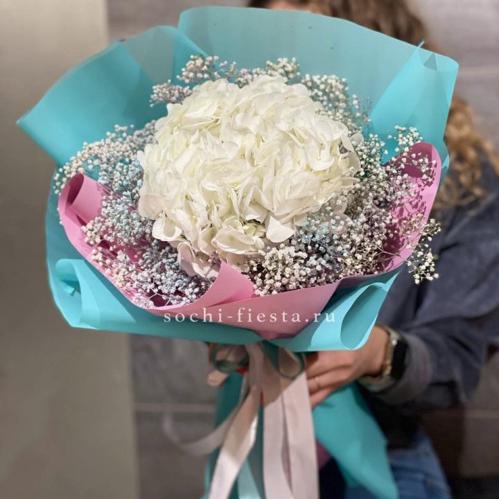 Гортензия "Райдов" в Саранске