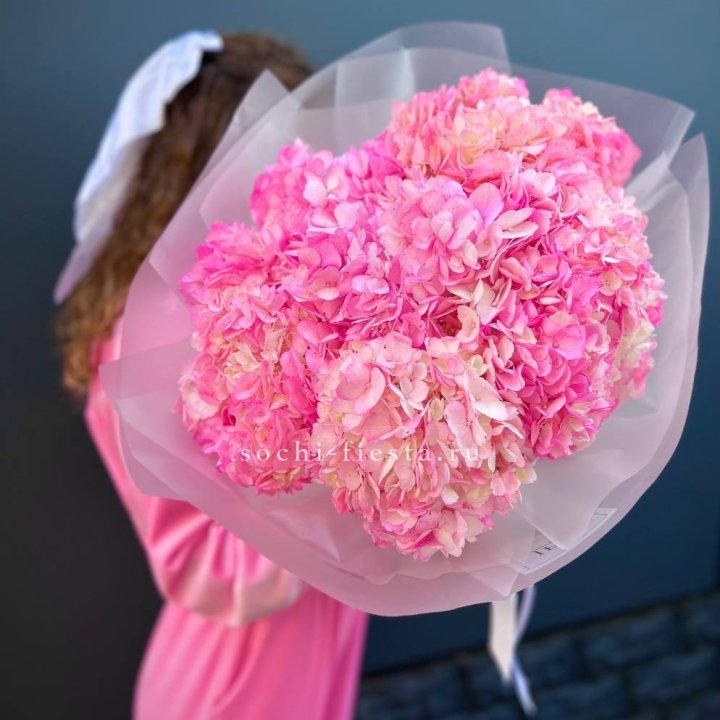 7 ярко розовых гортензий в Саранске