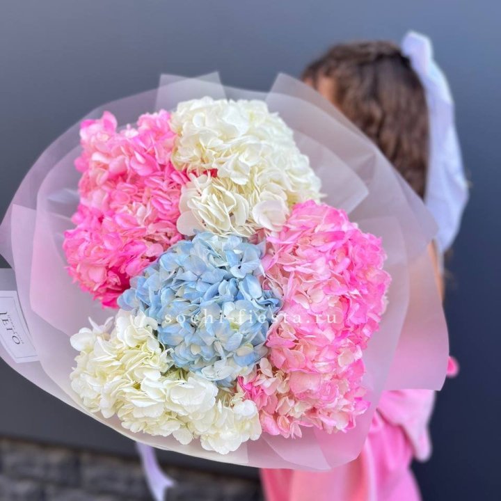 7 гортензий микс в Саранске