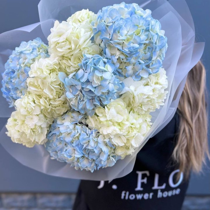 9 бело-голубых гортензий в Саранске