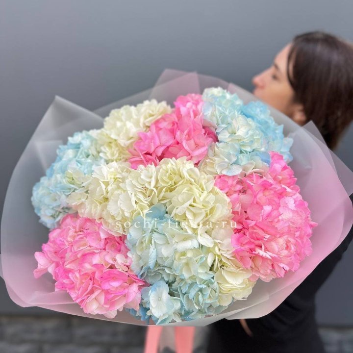 9 гортензий микс в Саранске