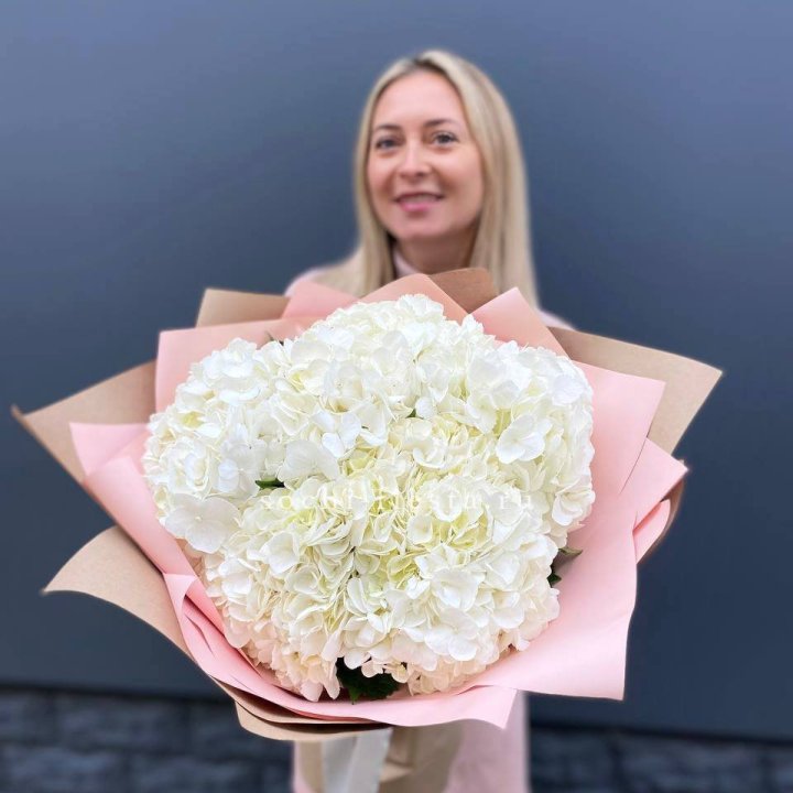 Гортензия белая в Саранске