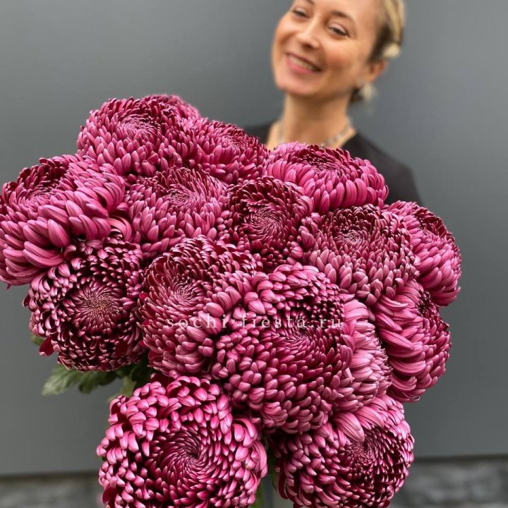 Охапка хризантем Бигуди в Саранске