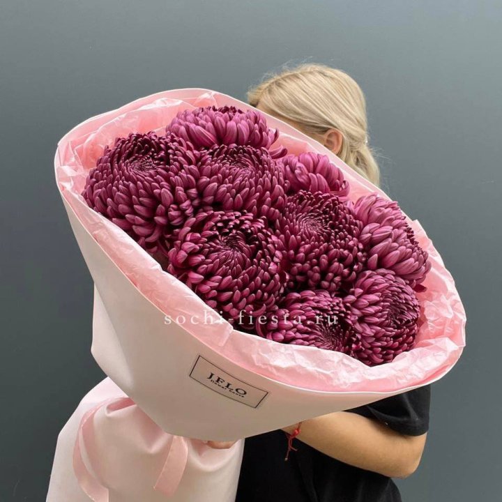 9 хризантем бигуди в Саранске