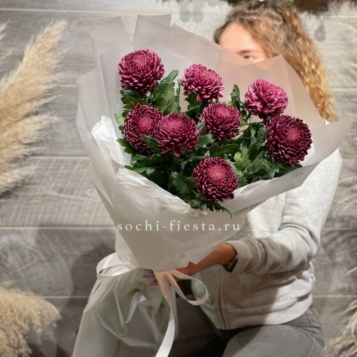 Хризантемы Бигуди в Саранске