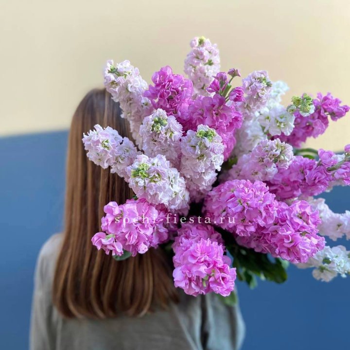 Охапка маттиолы в Саранске