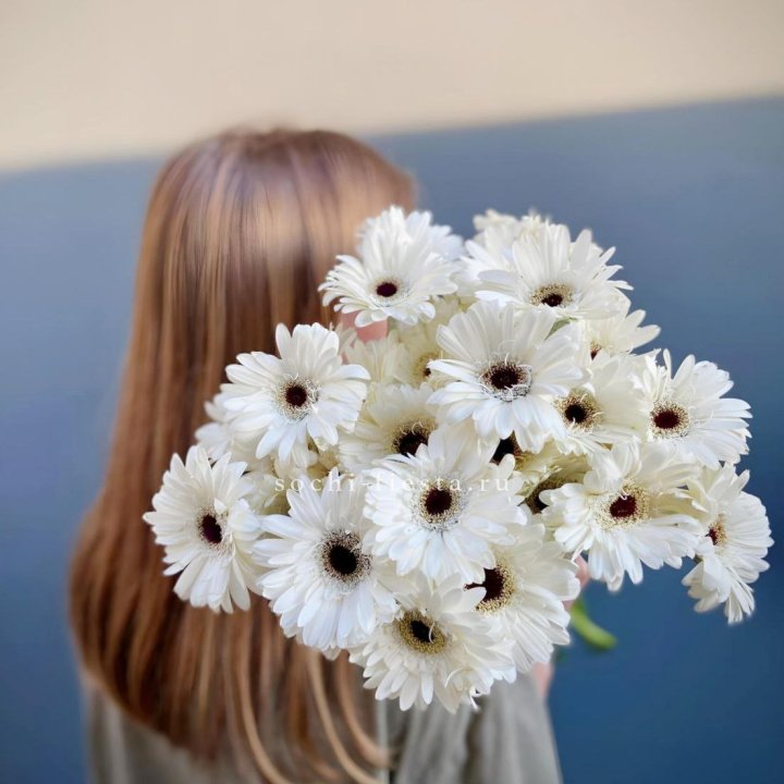 Охапка гербер в Саранске