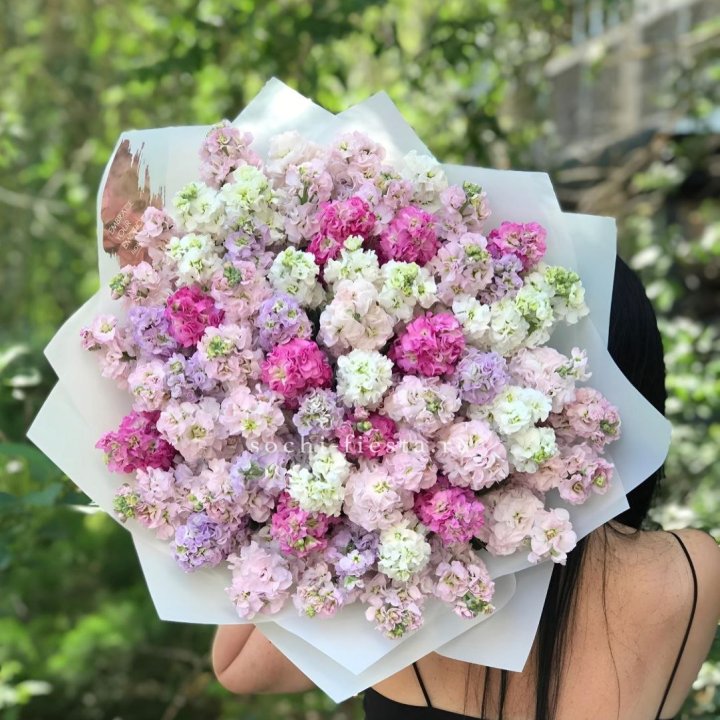 Букет ароматной маттиоллы №3 в Саранске