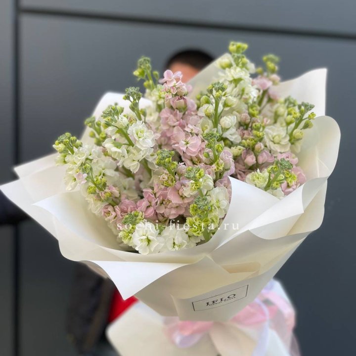 29 маттиол  в Саранске