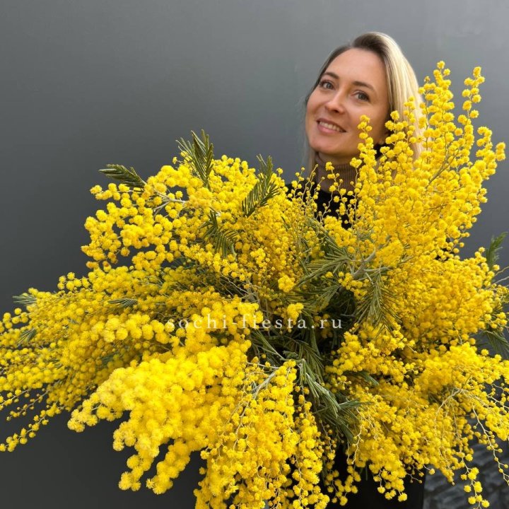 Охапка мимозы №2 в Саранске