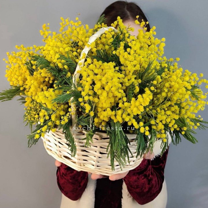 Корзина ароматной мимозы в Саранске