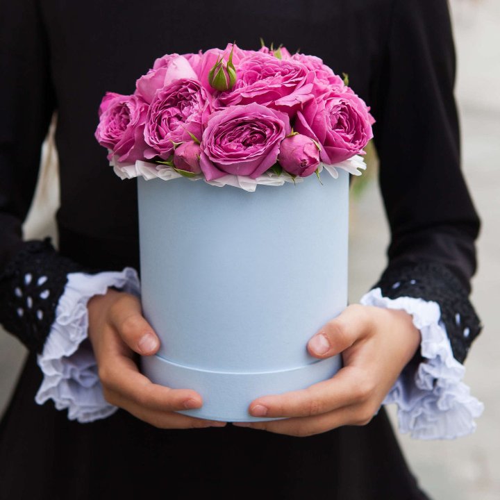 Бокс мини мисти в Саранске