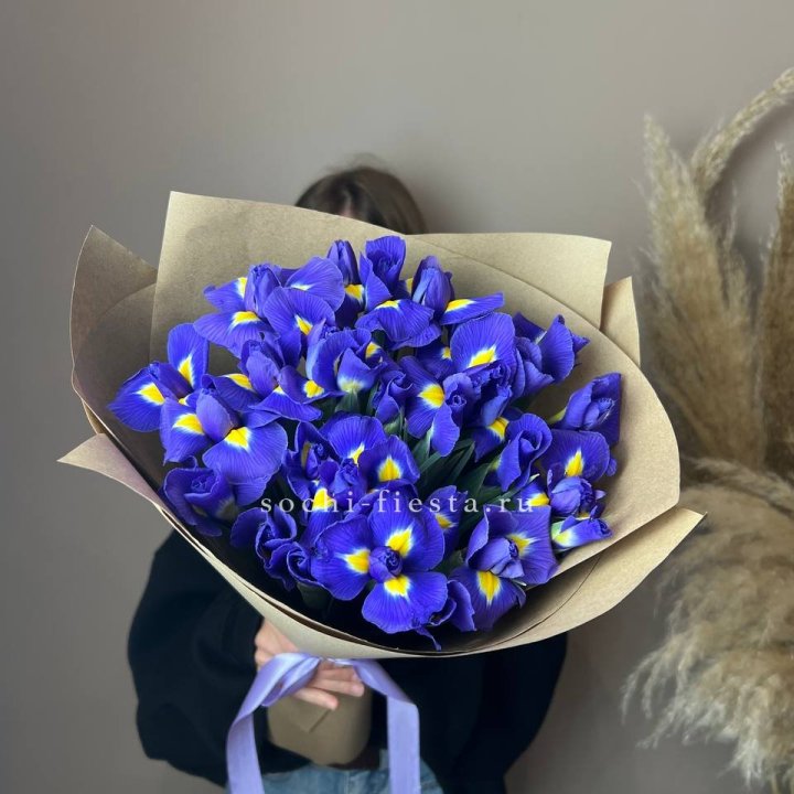 Ирисы в Саранске