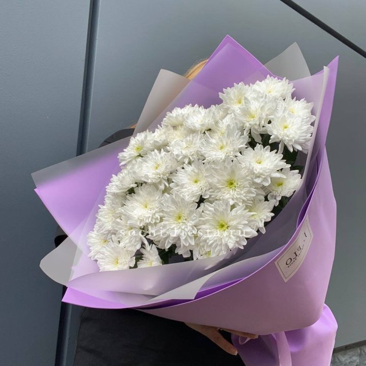  7 хризантем  в Саранске