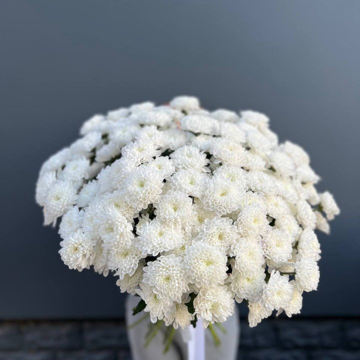  25 хризантем белых в Саранске