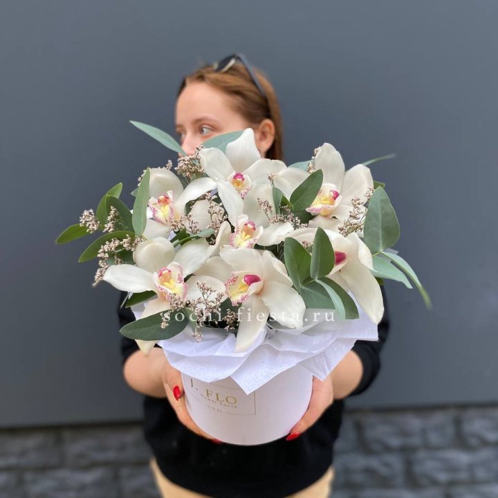 7 орхидей в боксе в Саранске