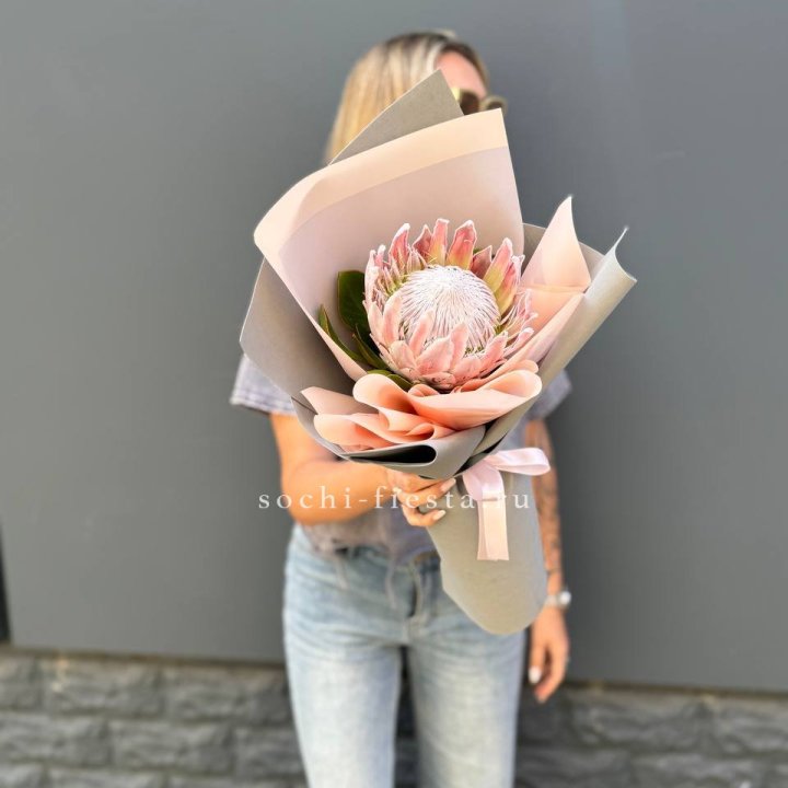 Протея мини  в Саранске