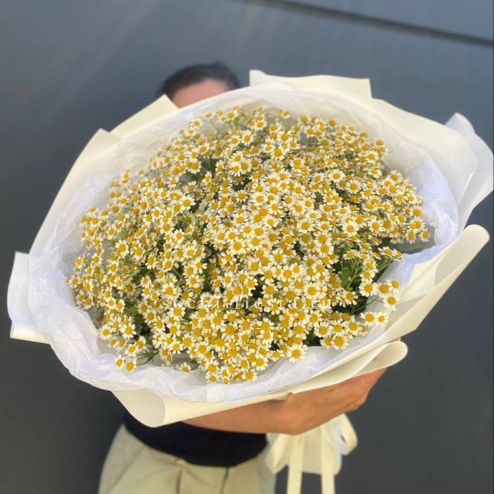 Букет ромашек №2 в Саранске