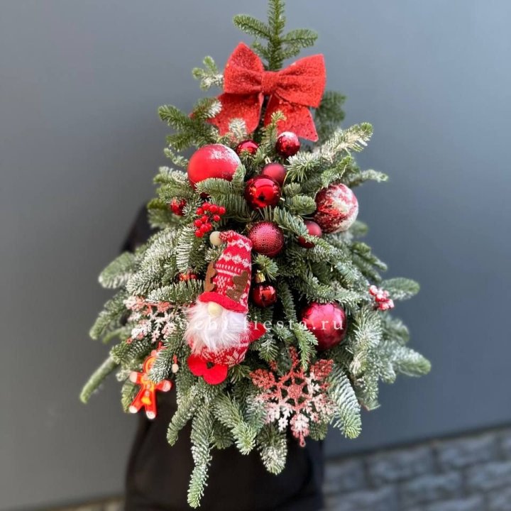 Новогодняя елочка "Ред" в Саранске