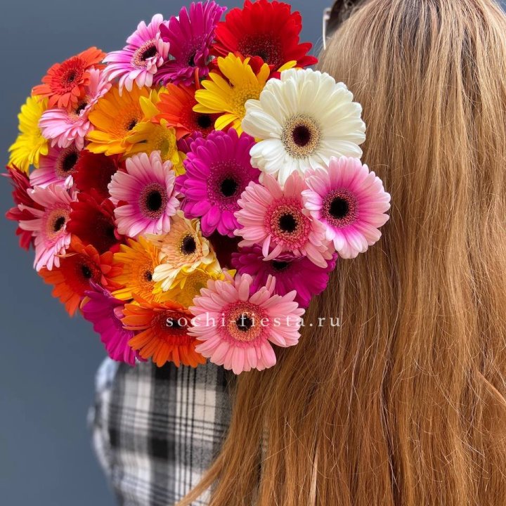 Охапка гербер  в Саранске