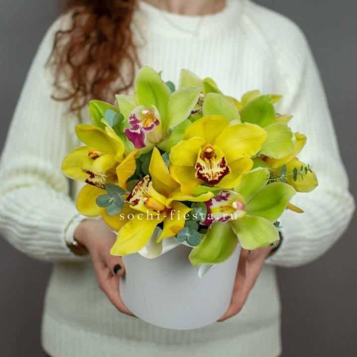 Бокс с орхидей №1 в Саранске