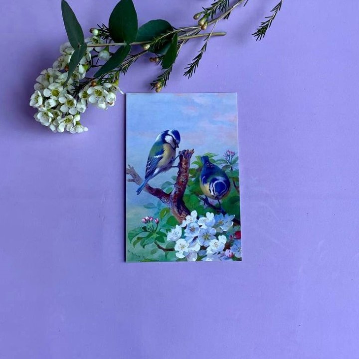 Открытка к букету "Птицы" в Саранске