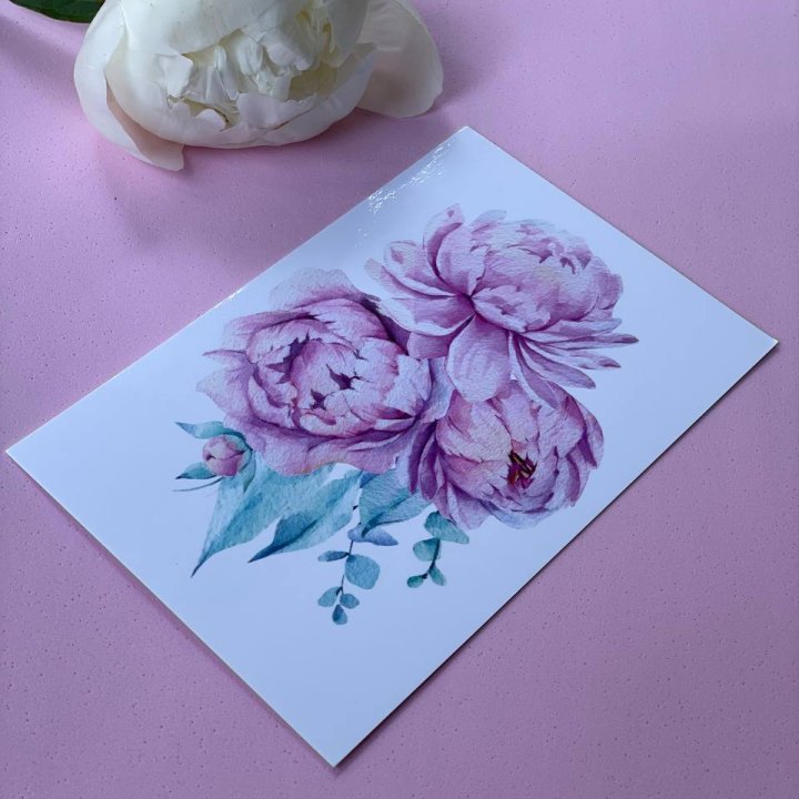 Открытка к букету "Пионы" в Саранске