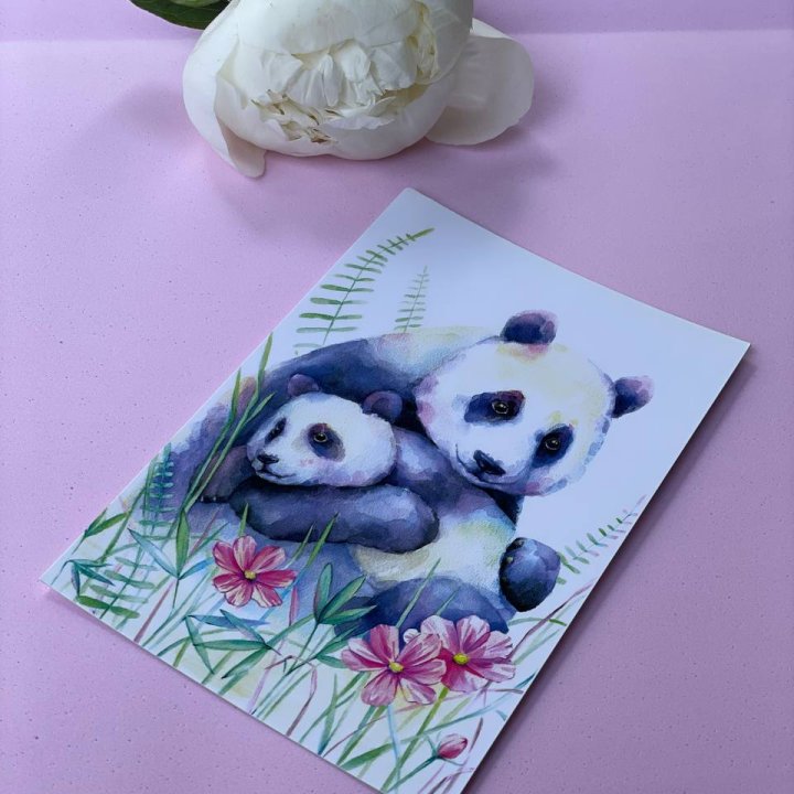 Открытка к букету "Объятие Панды" в Саранске