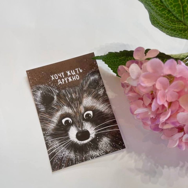 Открытка к букету "Енотик" в Саранске