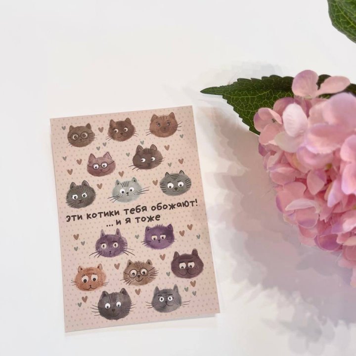 Открытка к букету "Котики" в Саранске